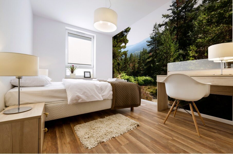 Scottish Highlands Summer Landscape Mural print