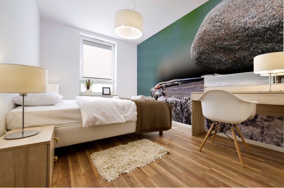 Juvenile Five Lined Skink Mural print