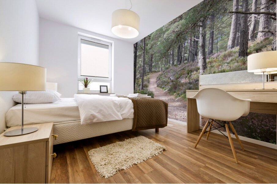 Scottish Highlands Pine and Heather Mural print