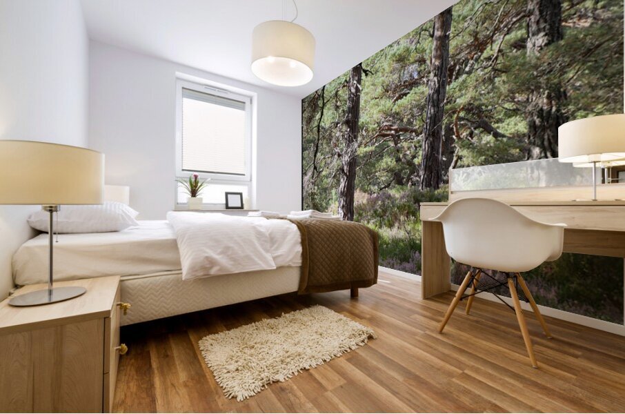 Heather and Pines Mural print