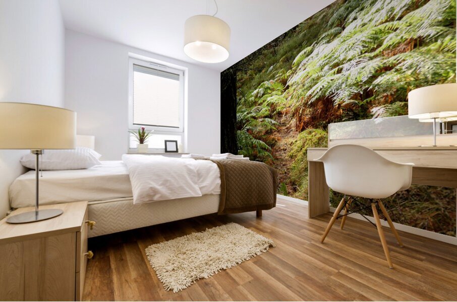 Ferns and Pine Mural print