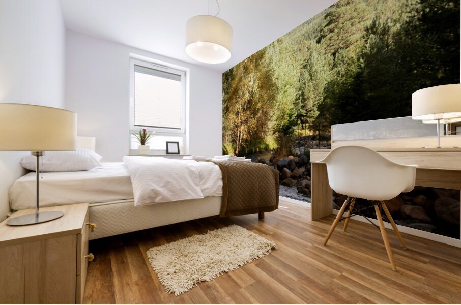 Autumns River in the Scottish Highlands Mural print