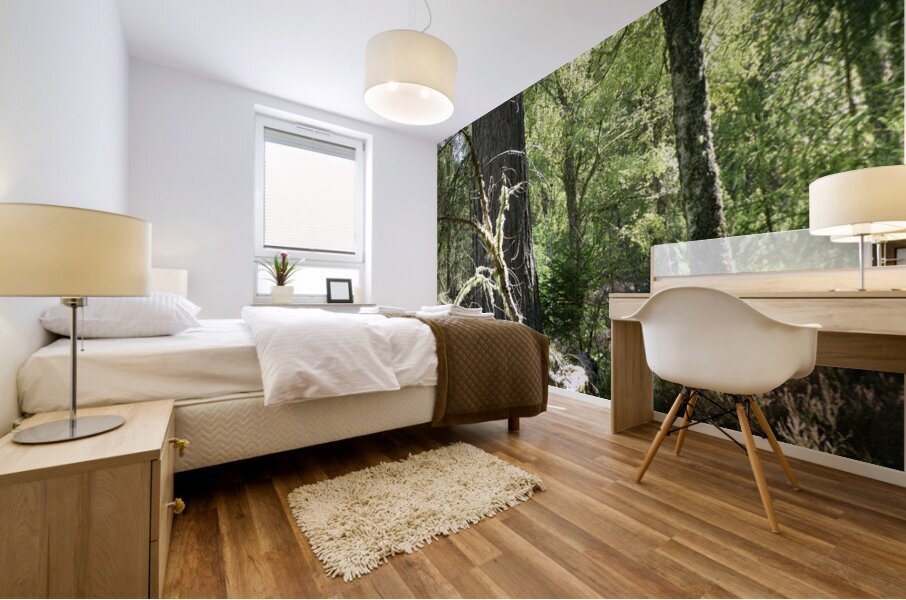 Scottish Highlands Mixed Forest with Lichen Mural print