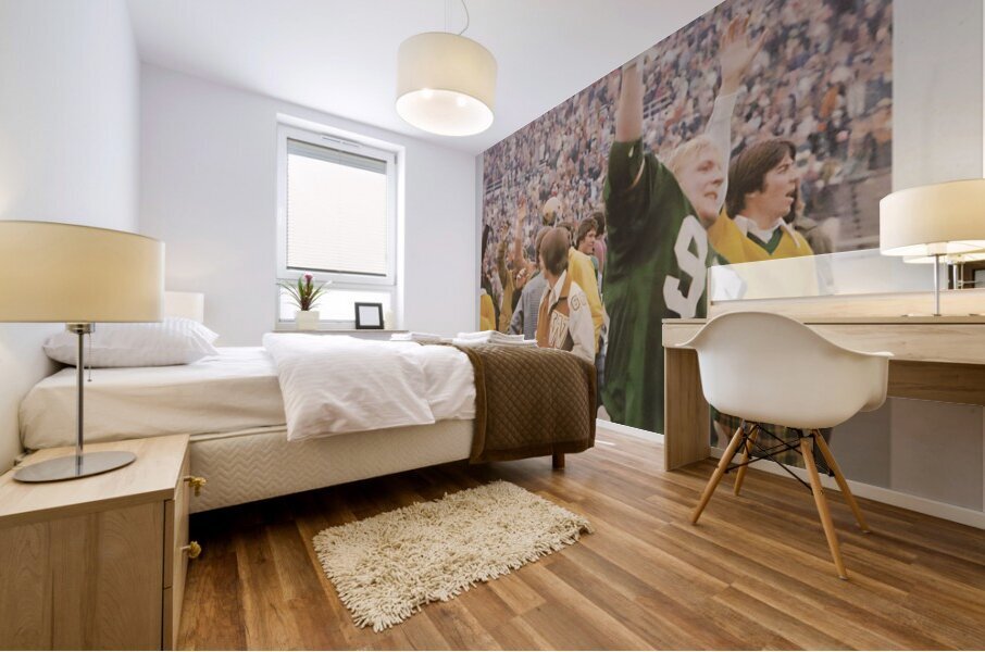 1974 Baylor Football Southwest Conference Champs Mural print