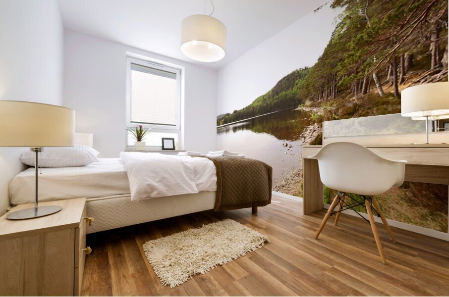 Scottish Highlands Summer Lochside Mural print