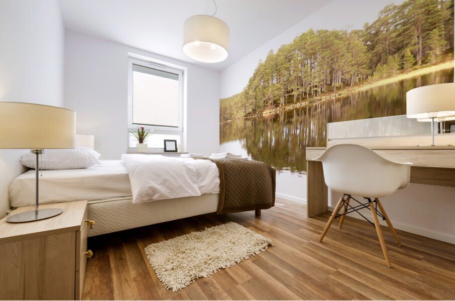 Scottish Highlands Forest Reflection  Mural print