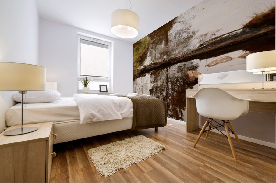 Scottish Highlands Pines Reflections Mural print