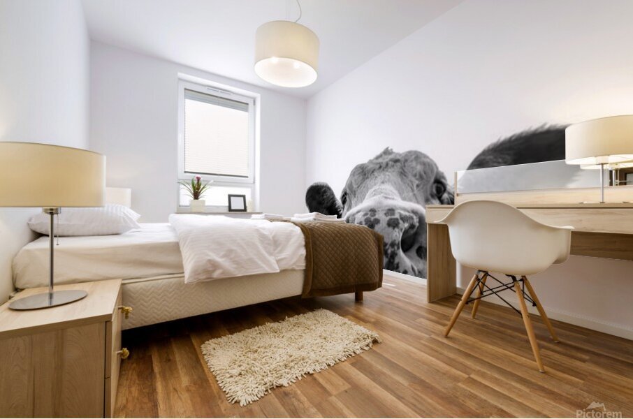 Cute Cow Mural print