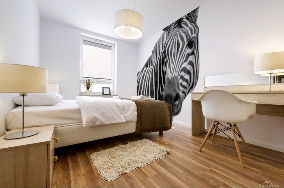 Funny Zebra Mural print