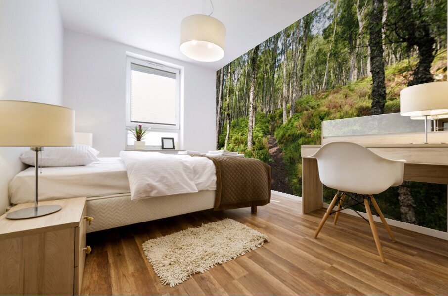 Scottish Highlands Ferns Trail                                                                                                                  Mural print