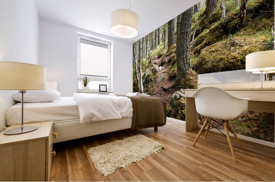  Scottish Highlands Forest Trail                                                                                                                     Mural print