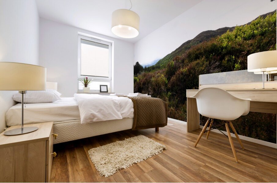 Scottish Highlands Heather Landscape                                                                                                                      Mural print