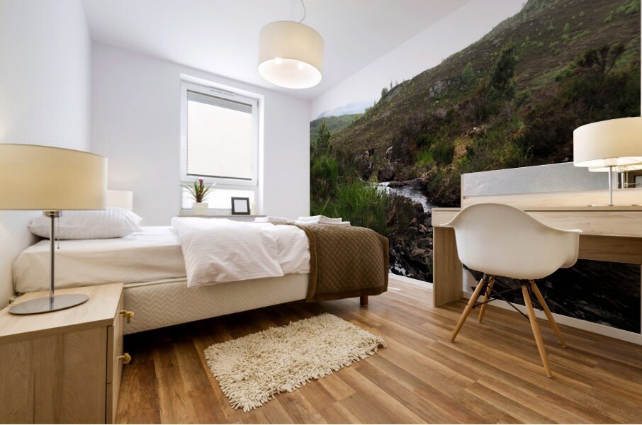  Scottish Highlands Landscape Stream                                                                                                                     Mural print