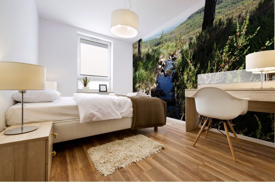 Scottish Highlands Peaceful Vibes                                                                                                                      Mural print