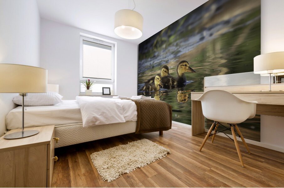 Sibling Ducklings Mural print