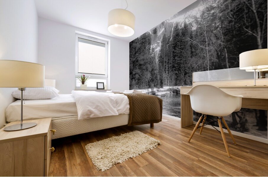 Illuminated  Vertical Yosemite Half Dome in Black and White Mural print