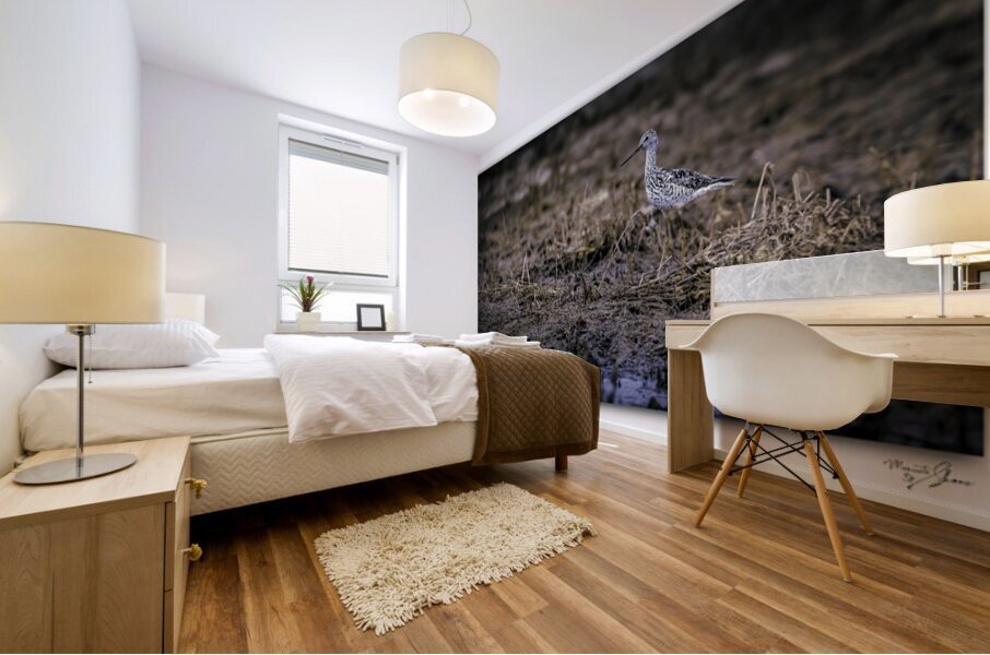 Greater Yellow Leg 1 Mural print