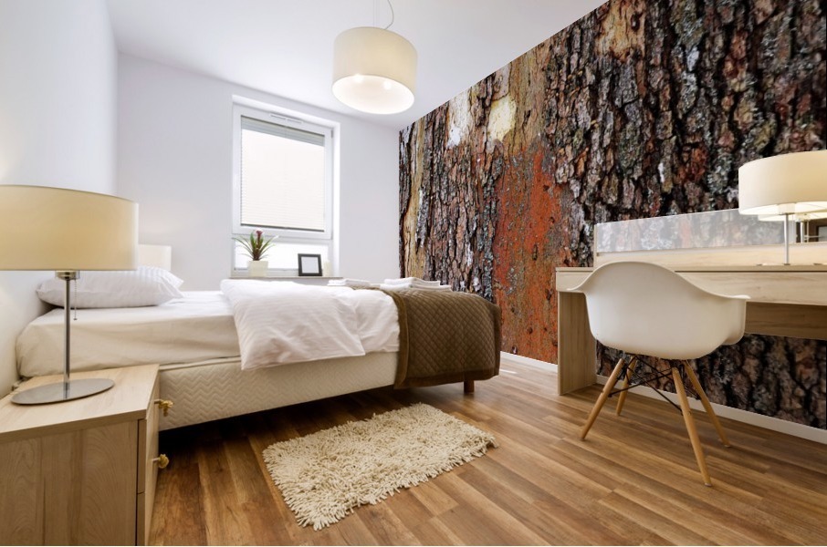 Colors Of Eastern Sycamore Mural print