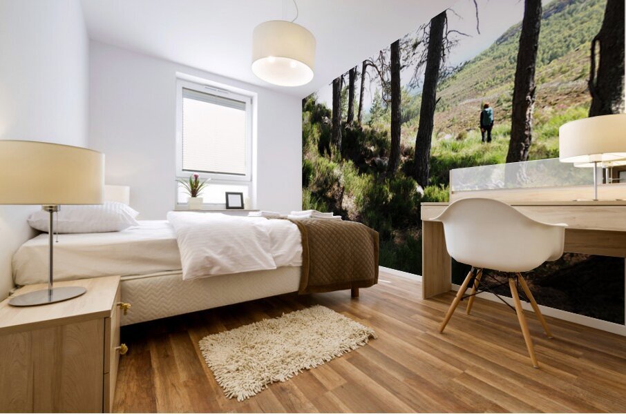  A Hill Top View in the Scottish Highlands                                                                                                                     Mural print