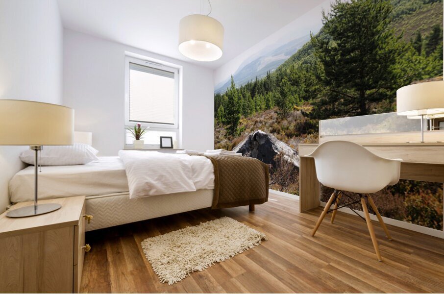 A Magical Place in the Scottish Highlands                                                                                                                      Mural print
