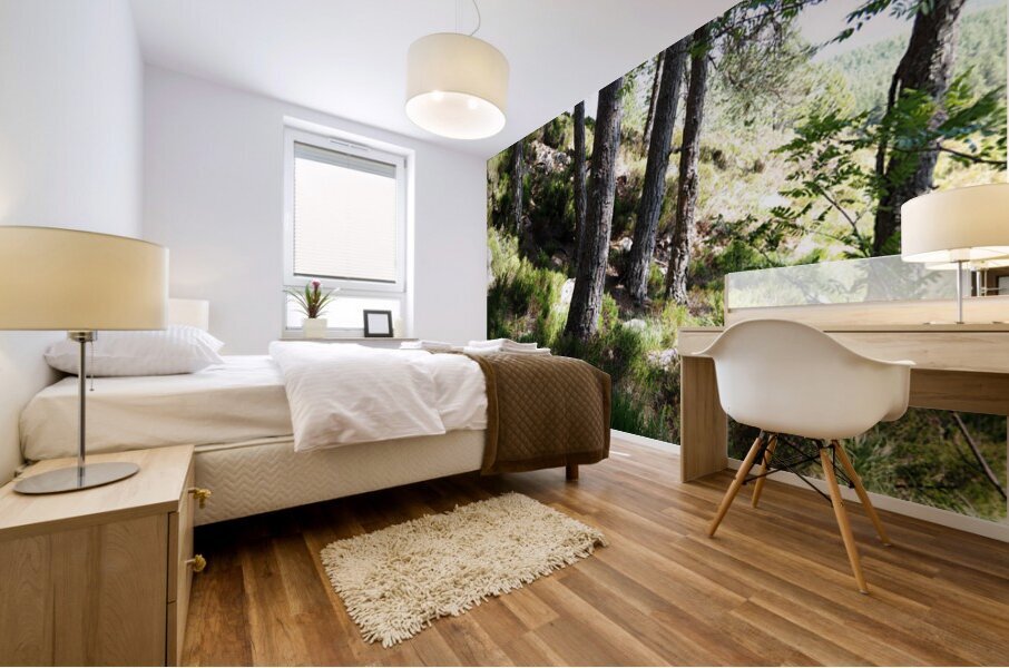   The Magical Place of the Fae in the Scottish Highlands                                                                                                                    Mural print