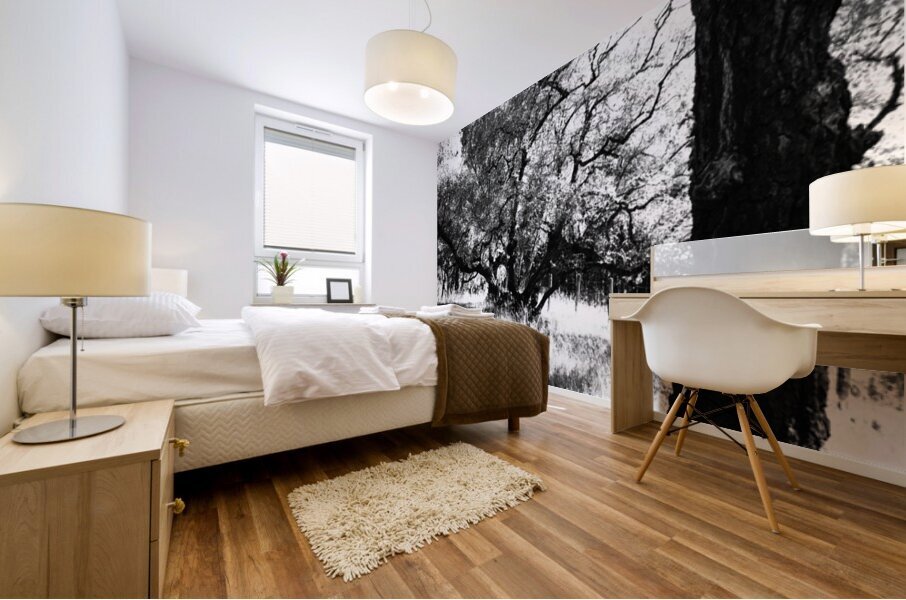  Monochrome Nature in the Scottish Highlands                                                                                                                     Mural print