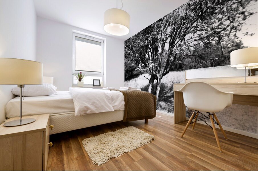 Scottish Highlands Monochrome Rowan Trees                                                                                                                      Mural print