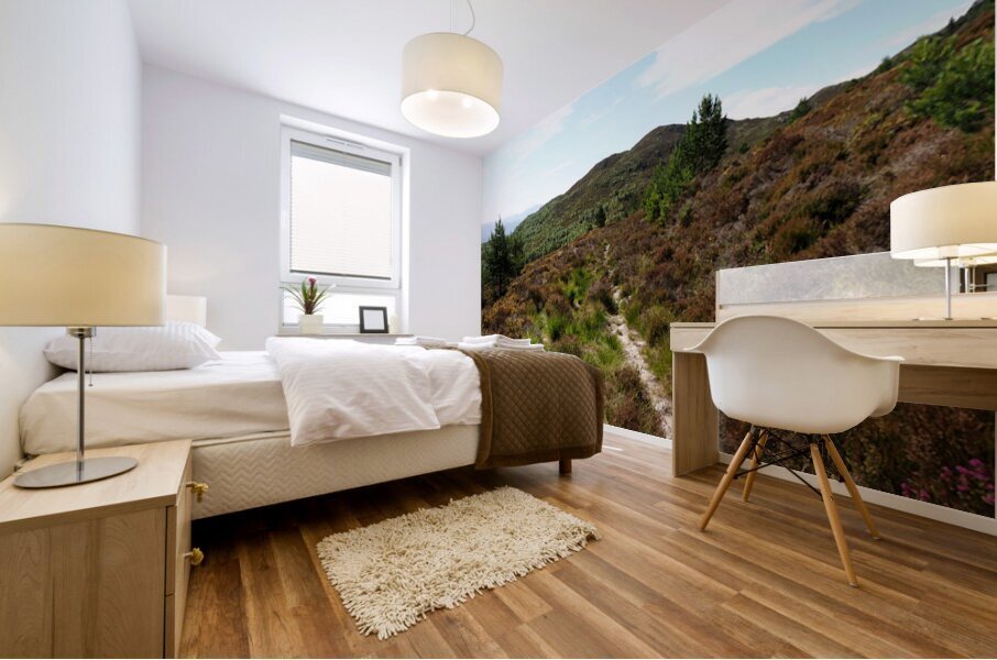 Scottish Highlands Hill Landscape                                                                                                                       Mural print