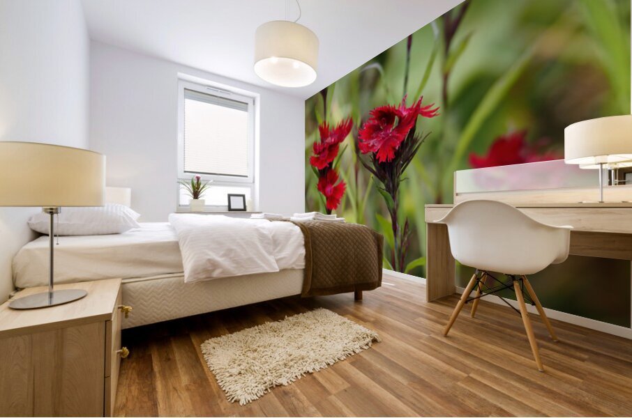  Natures Ruby Kiss in the Scottish Highlands                                                                                                                     Mural print