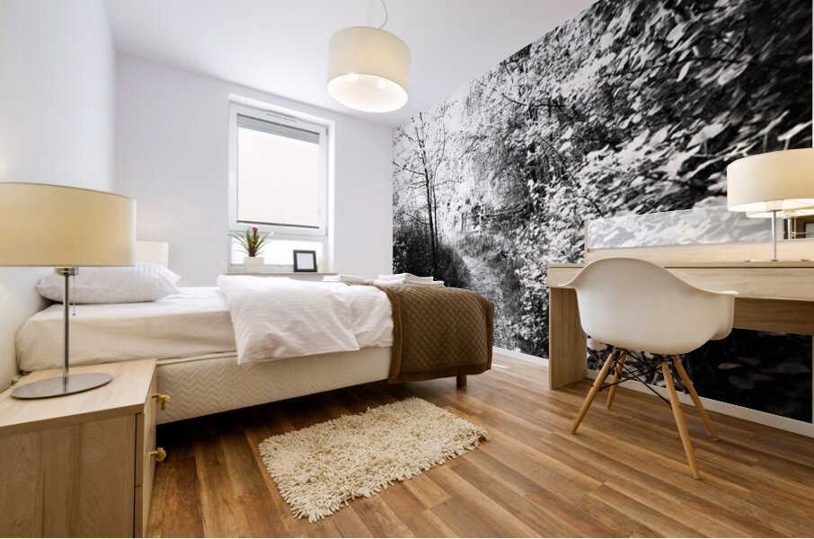   Monochrome Forest Path through the Scottish Highlands                                                                                                                     Mural print