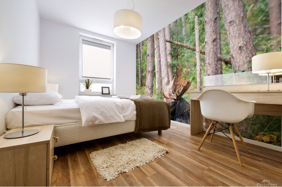 lookintomysoul8x10NEEDSTP Mural print