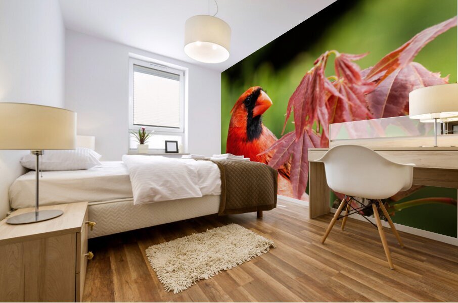 Northern Cardinal Among Maple Leaves Mural print