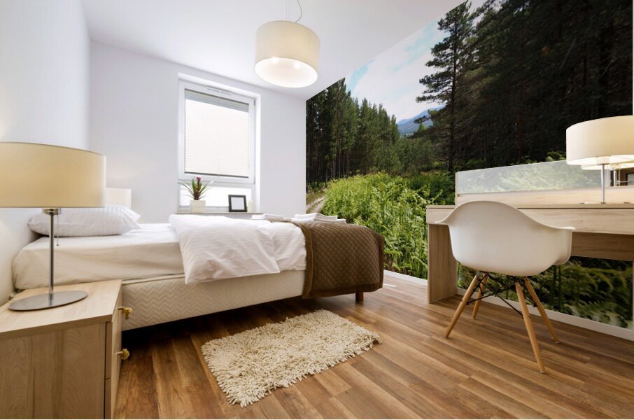 Pine and Fern Trail through the Scottish Highlands                                                                                                                      Mural print