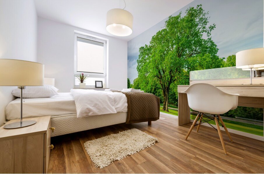 Majestic Elm In Springtime Stillness Mural print