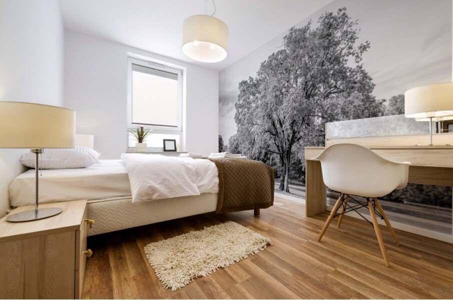 Majestic Elm In Springtime Stillness Grayscale Mural print