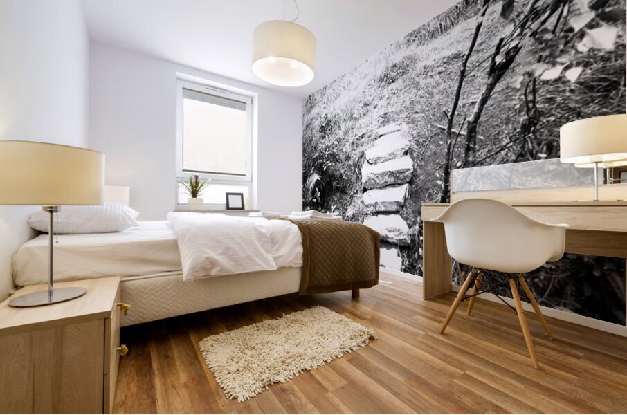 Take a Step Up in Monochrome Mural print