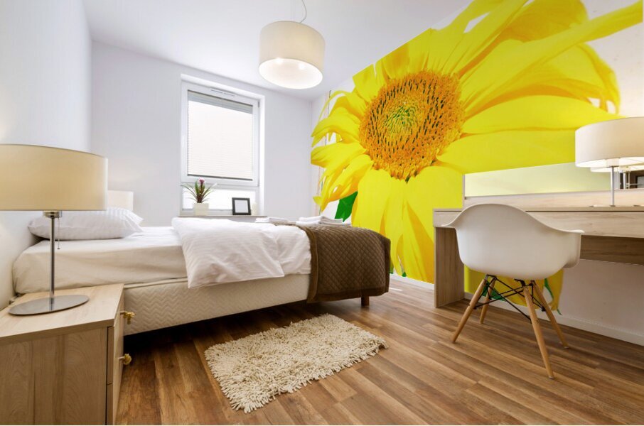 Sunflower Picture Mural print