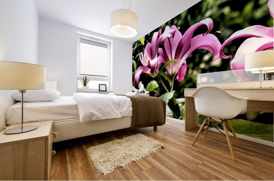 Vibrant Pink Flowering Lilies                                                                                                                      Mural print