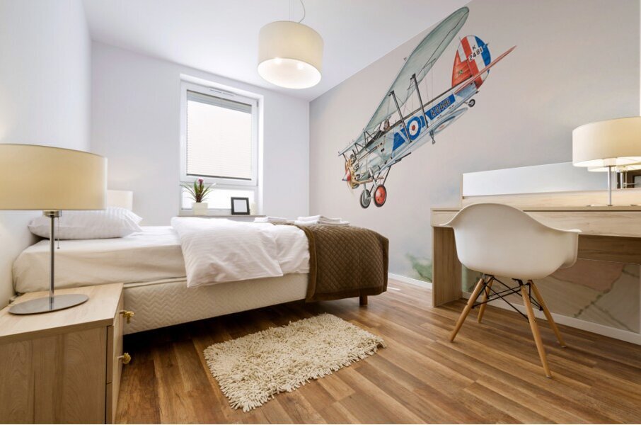 Single Bi Plane 14 14x11 34 Mural print