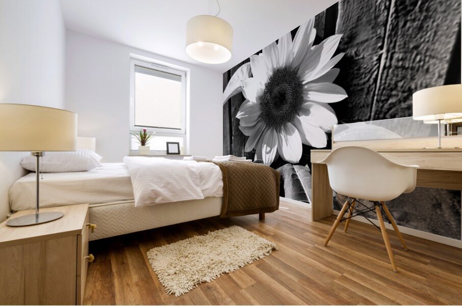 Sunflower with Bee in Black and White                                                                                                                      Mural print