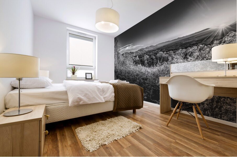 Porter Mountain Black and White Mural print