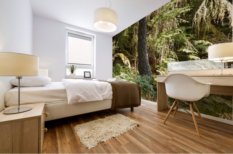 Peace in the Woods in the Scottish Highlands Mural print