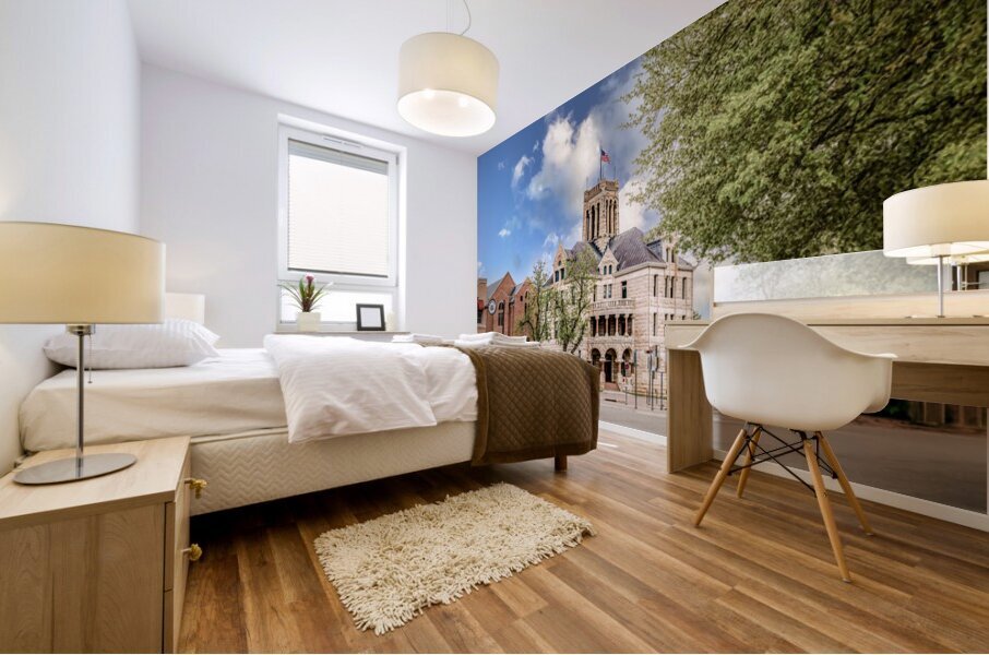 Comal County Courthouse  1 Mural print