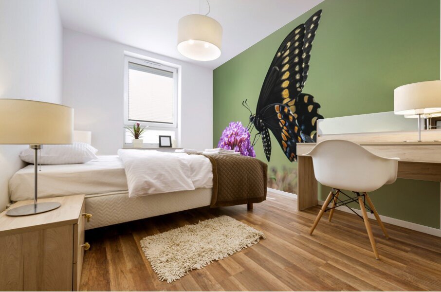 Black Swallowtail on a Pink Butterfly Bush Mural print