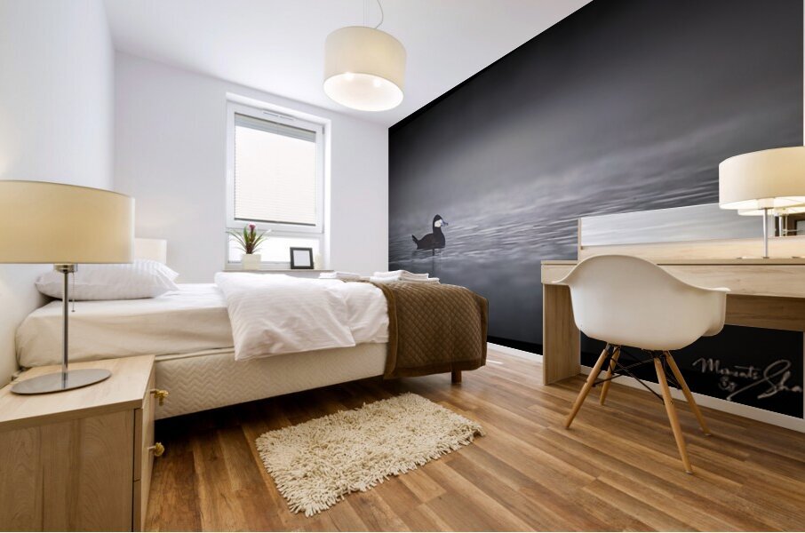 Foggy Morning Ruddy Mural print