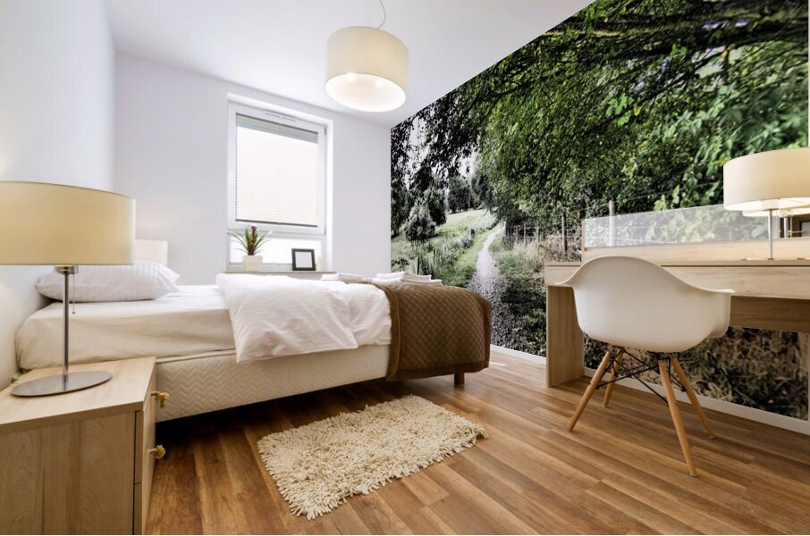  Natures Summer Path through the Scottish Highlands                                                                                                                     Mural print