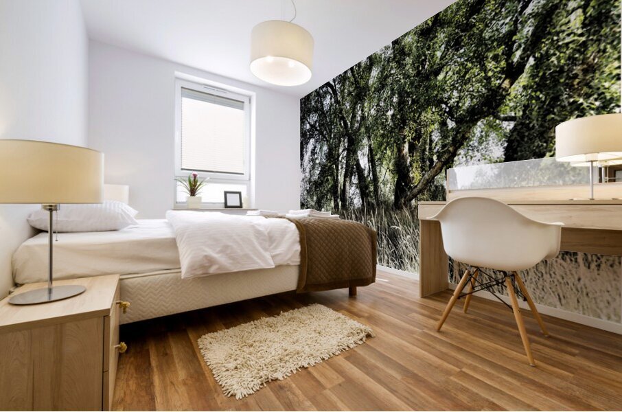 Birch Tree Gathering in the Scottish Highlands                                                                                                                       Mural print