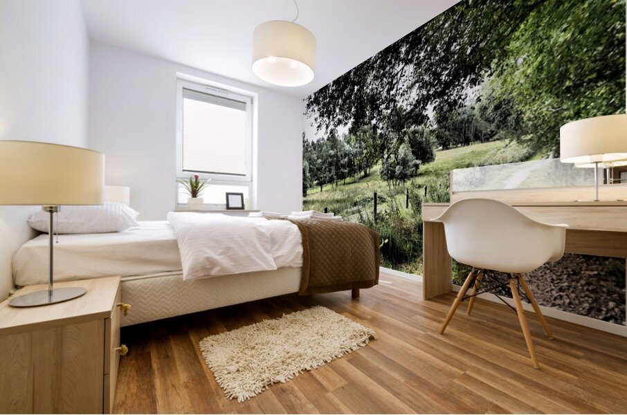 Summer Path in the Scottish Highlands                                                                                                                      Mural print