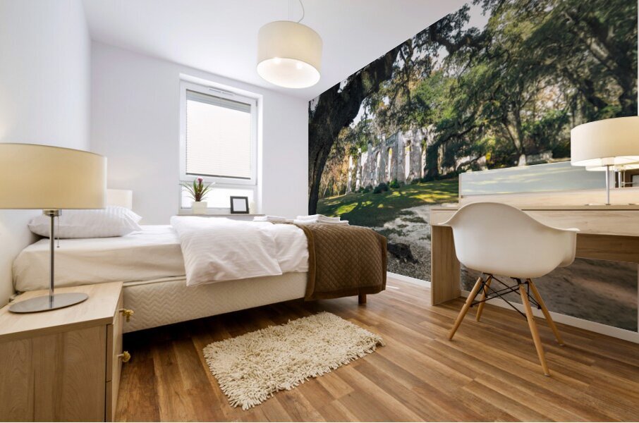 Old Sheldon Church Panorama Mural print