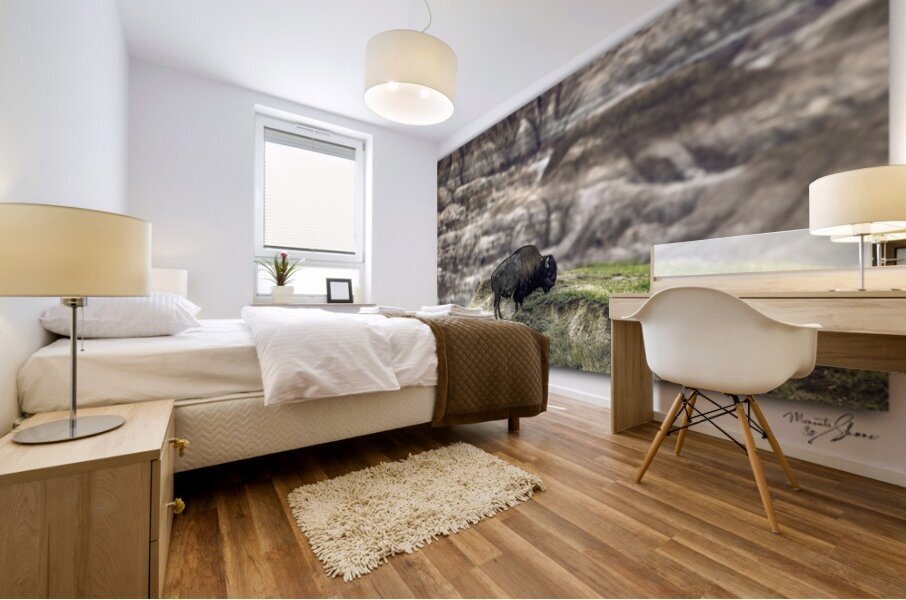 Badlands Buffalo Mural print